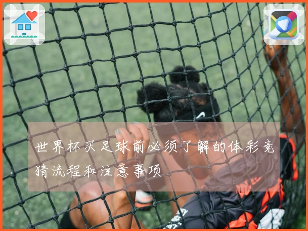 世界杯买足球前必须了解的体彩竞猜流程和注意事项