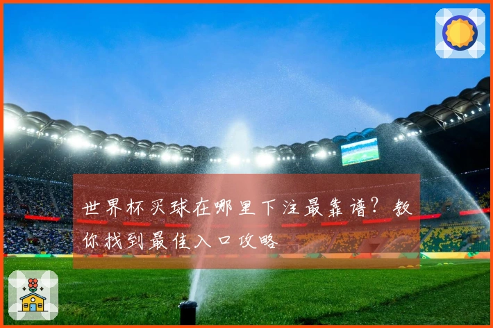 世界杯买球在哪里下注最靠谱？教你找到最佳入口攻略
