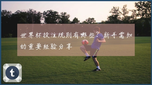 世界杯投注规则有哪些?新手需知的重要经验分享