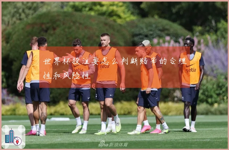 世界杯投注要怎么判断赔率的合理性和风险性