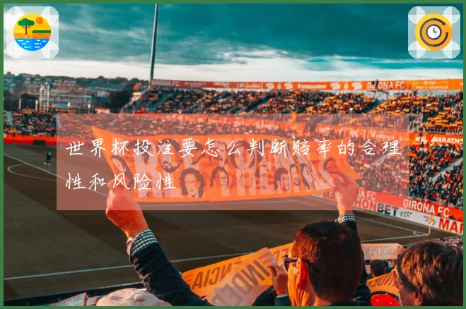 世界杯投注要怎么判断赔率的合理性和风险性
