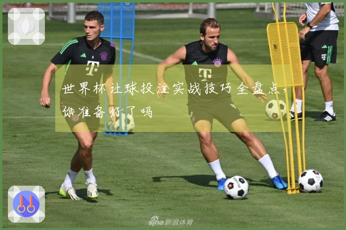 世界杯让球投注实战技巧全盘点，你准备好了吗