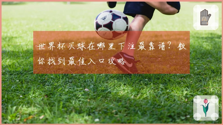 世界杯买球在哪里下注最靠谱？教你找到最佳入口攻略