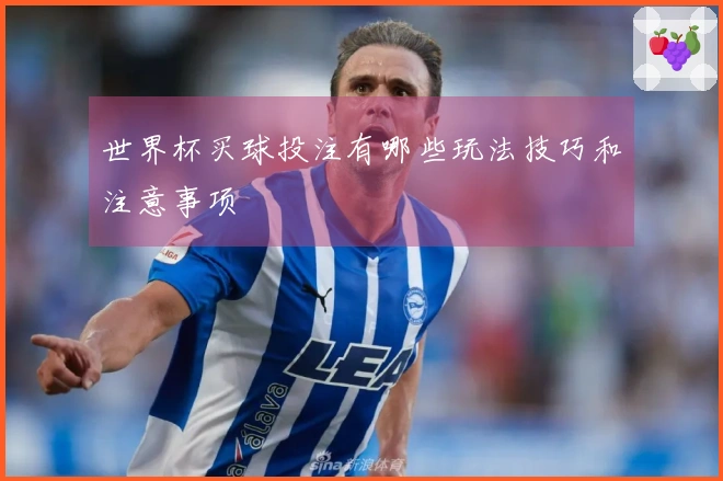 世界杯买球投注有哪些玩法技巧和注意事项