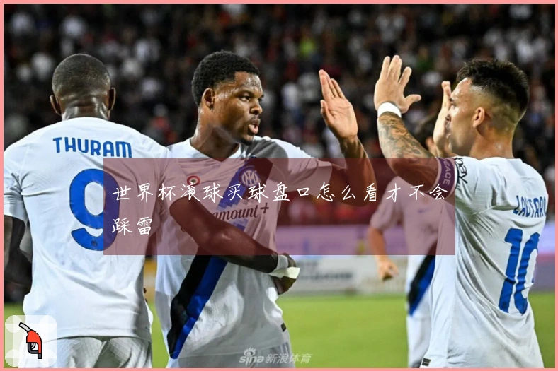 世界杯滚球买球盘口怎么看才不会踩雷