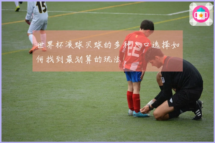 世界杯滚球买球的多种入口选择如何找到最划算的玩法