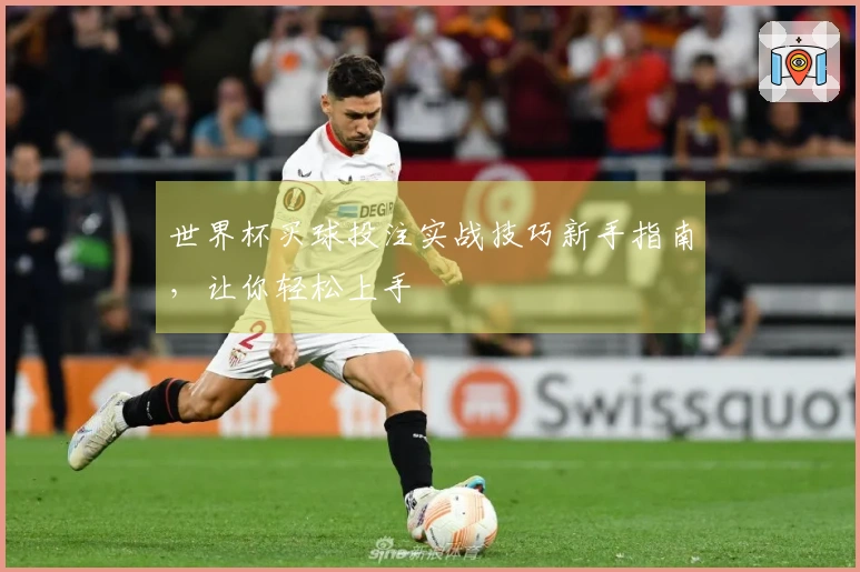 世界杯买球投注实战技巧新手指南，让你轻松上手