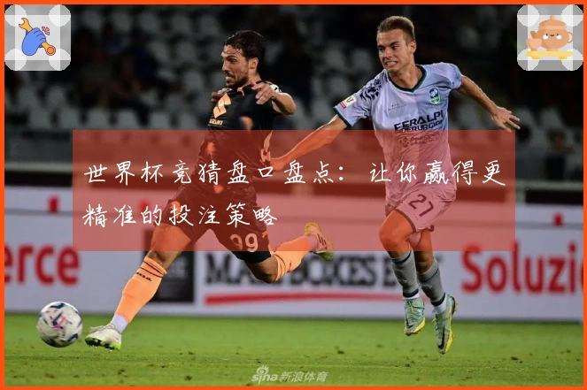 世界杯竞猜盘口盘点：让你赢得更精准的投注策略