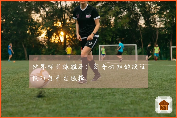 世界杯买球推荐：新手必知的投注技巧与平台选择