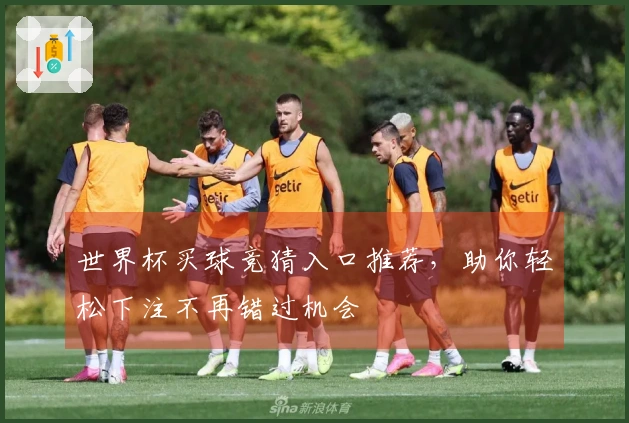 世界杯买球竞猜入口推荐，助你轻松下注不再错过机会