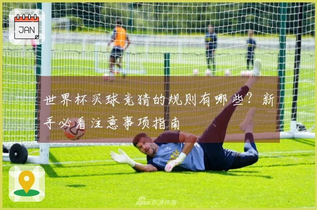 世界杯买球竞猜的规则有哪些？新手必看注意事项指南