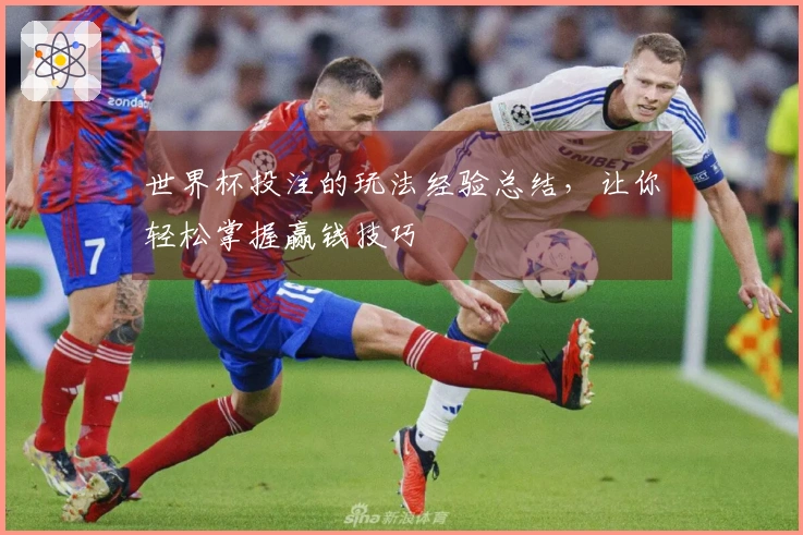 世界杯投注的玩法经验总结，让你轻松掌握赢钱技巧