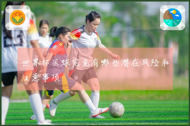 世界杯买球究竟有哪些潜在风险和注意事项