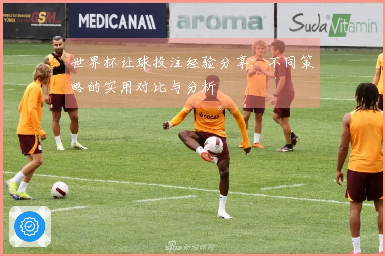 世界杯让球投注经验分享：不同策略的实用对比与分析