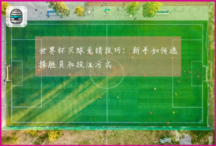 世界杯买球竞猜技巧:新手如何选择胜负和投注方式