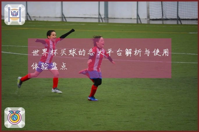 世界杯买球的各大平台解析与使用体验盘点