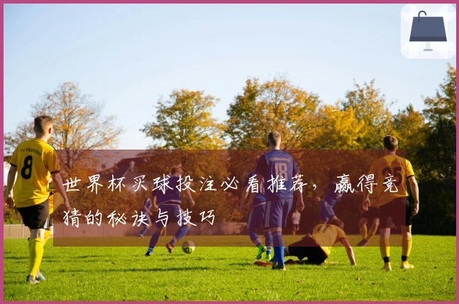 世界杯买球投注必看推荐，赢得竞猜的秘诀与技巧