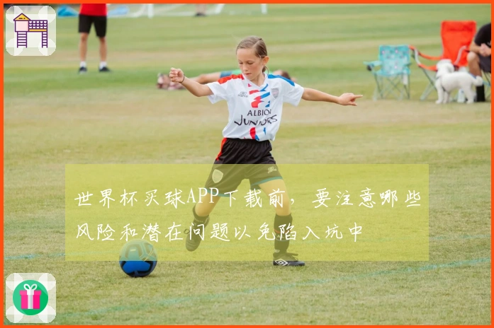 世界杯买球APP下载前，要注意哪些风险和潜在问题以免陷入坑中