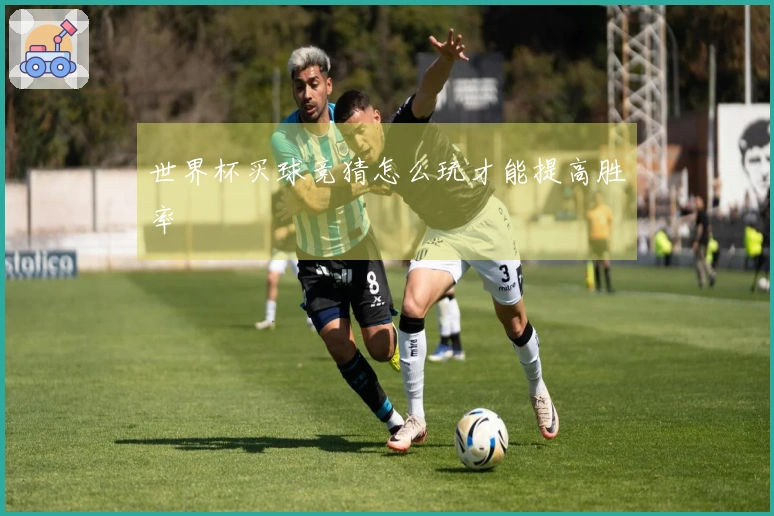 世界杯买球竞猜怎么玩才能提高胜率