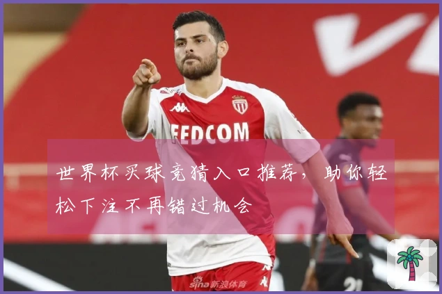 世界杯买球竞猜入口推荐,助你轻松下注不再错过机会