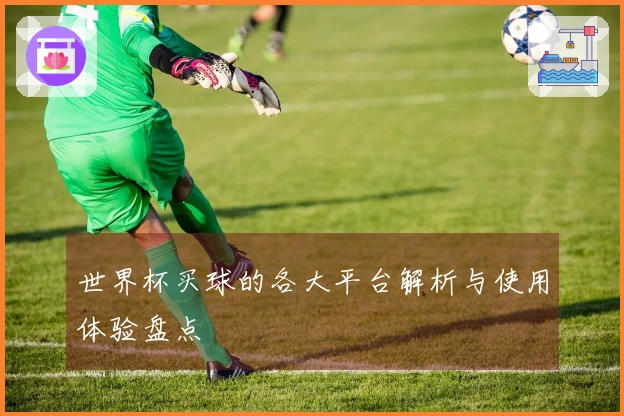 世界杯买球的各大平台解析与使用体验盘点