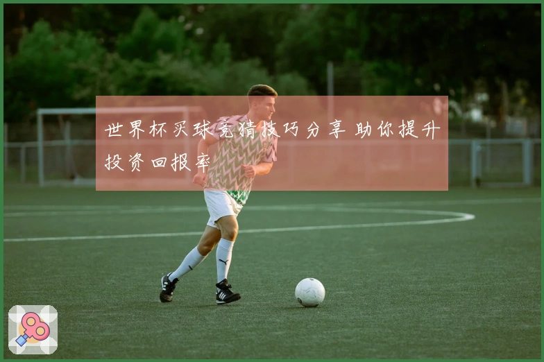 世界杯买球竞猜技巧分享 助你提升投资回报率